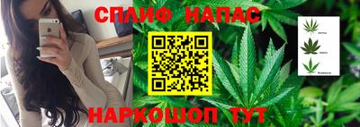 наркотики Абакан