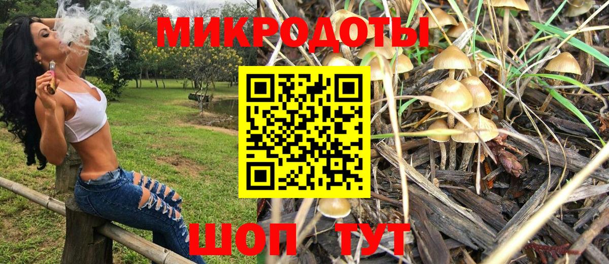 Псилоцибиновые грибы GOLDEN TEACHER  Вход с VPN  как найти   Ангарск 